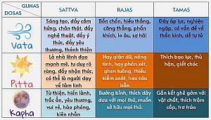 BA GUNAS VÀ BẢN CHẤT CỦA TINH THẦN