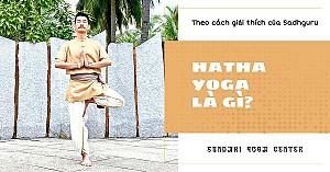 Hatha Yoga Là Gì?