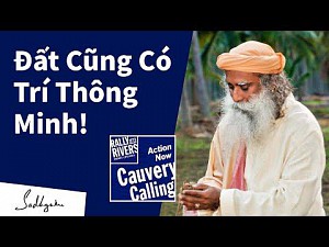 Đất Mẹ Quan Trọng Thế Nào Với Chúng Ta